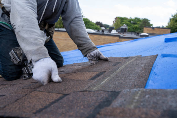 Best Storm Damage Roof Repair  in Exeter, PA